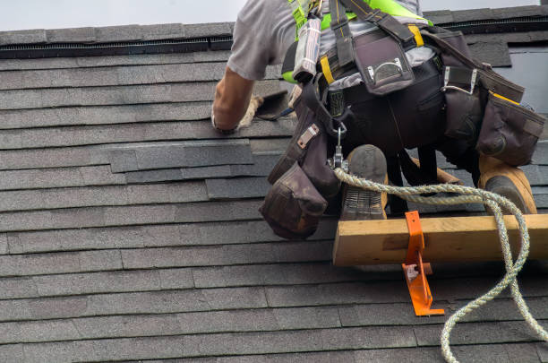 Best Flat Roof Repair Services  in Evansville, IN